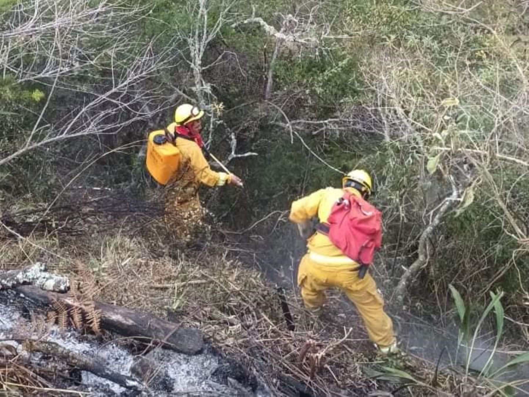 Bomberos forestales del Sernanp participan de las acciones para controlar los incendios forestales que se registran en la provincia de Abancay, región Apurímac, y afectan al Santuario Nacional de Ampay. Foto: ANDINA/difusión.