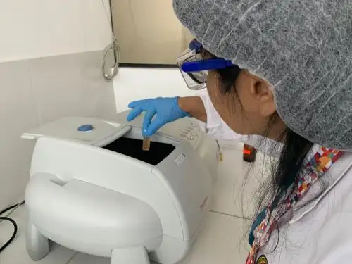 Científicos de la Universidad Nacional San Agustín de Arequipa potencian las propiedades anticancerígenas y antibacterianas de la milagrosa salvia para combatir el cáncer de próstata. ANDINA/Difusión