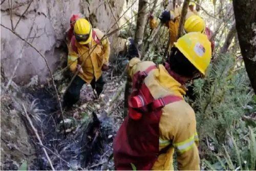 Gracias a la intervención oportuna y a los permanentes trabajos de mantenimiento y de corte de vegetación en este monumento, se ha minimizado el impacto del incendio.