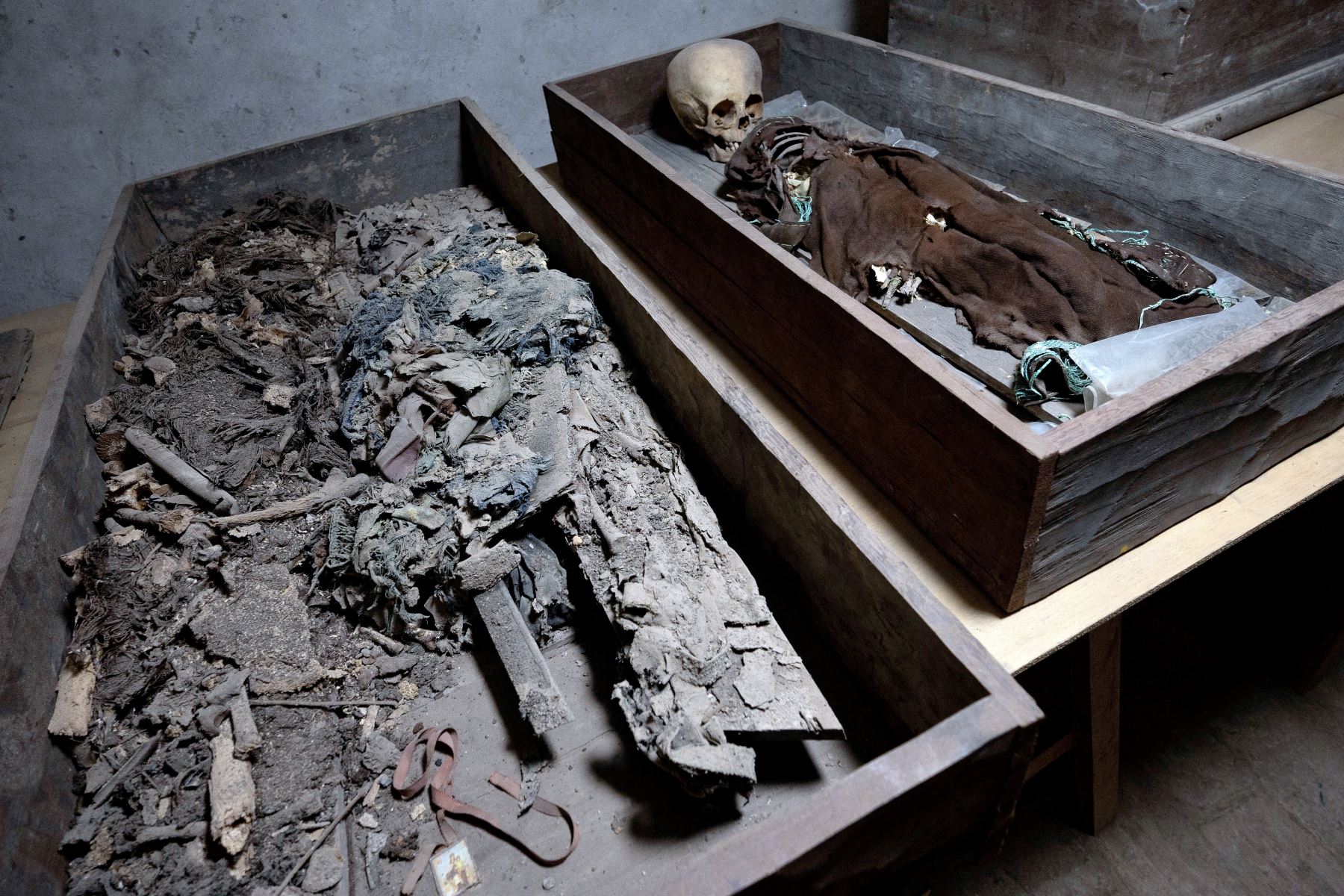 Encuentran cripta en la iglesia de Nuestra Señora de la Soledad con 14 entierros humanos