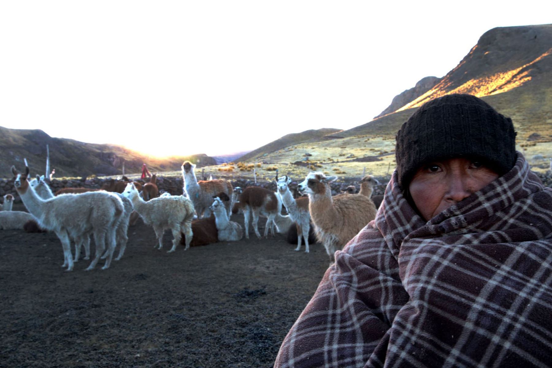 Senamhi alerta que zonas andinas de Puno soportarán temperaturas de 18 grados bajo cero este fin de semana. Foto: ANDINA/Carlos Lezama Villantoy.