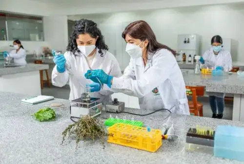La Universidad Nacional Agraria La Molina dará a conocer, en un seminario internacional a realizarse del 4 al 8 de julio de manera presencial y virtual, su contribución en ciencia y tecnología en el marco de las celebraciones por el Bicentenario del Perú. Entre las investigaciones se destaca a la papa Yungay, la quinua, el cuy, los retos del cambio climático, los recursos energéticos, entre otros.