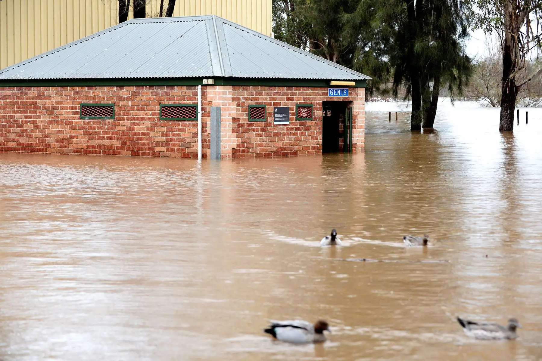 Una vista general muestra un área inundada debido a lluvias torrenciales en el suburbio de Camden en Sydney.
Foto: AFP