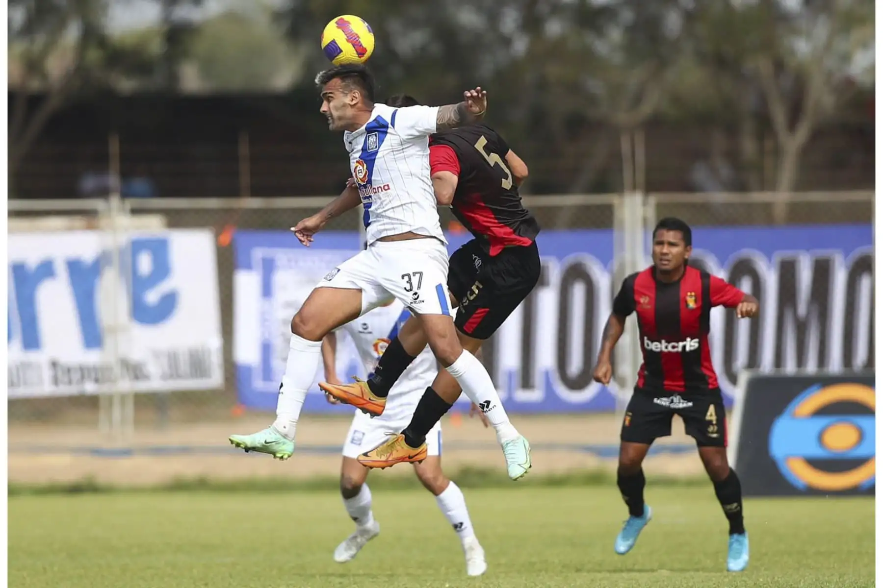 Melgar enfrenta a Alianza Atlético por la fecha 19 del Torneo Apertura en el Estadio Municipal Melanio Coloma Calderón de Sullana. Foto: Liga 1