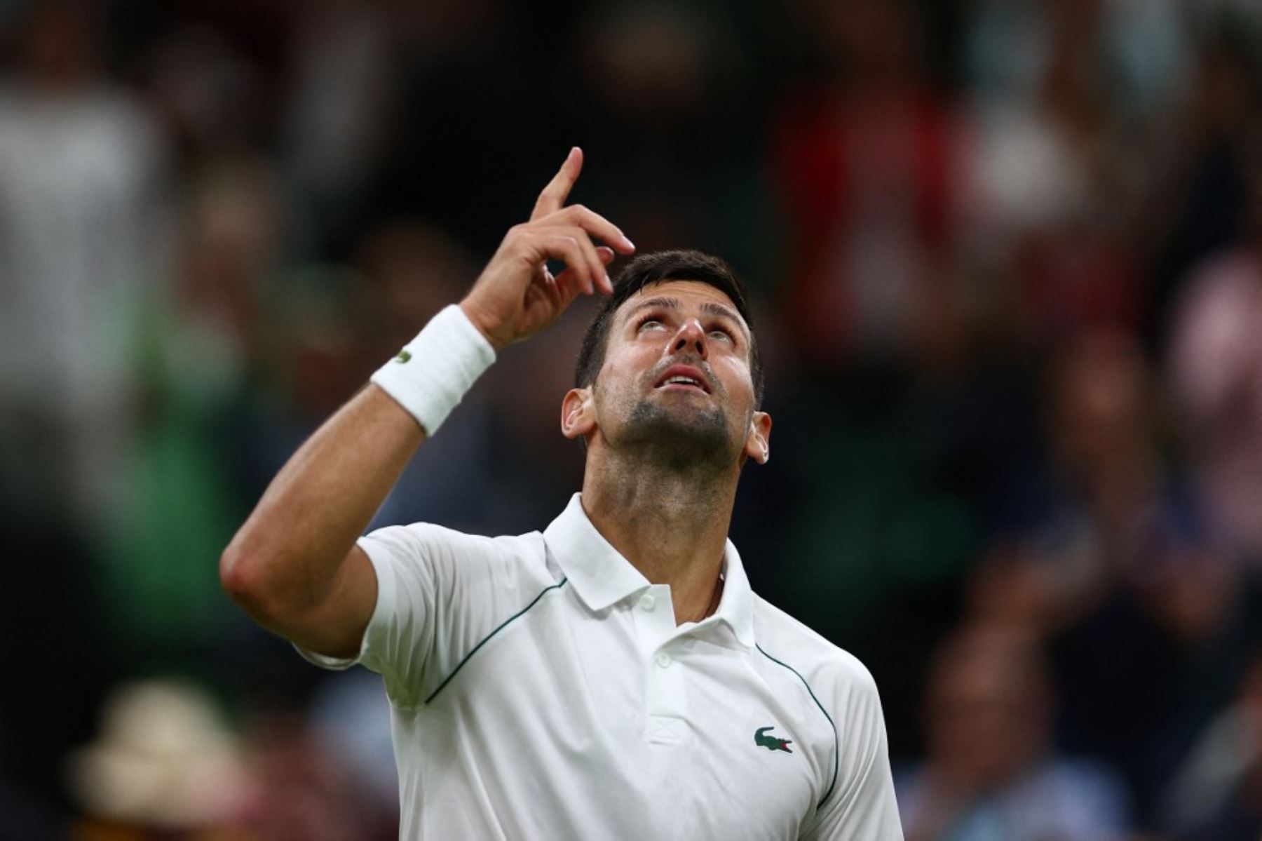 Djokovic se instala en los cuartos de final del Wimbledon
