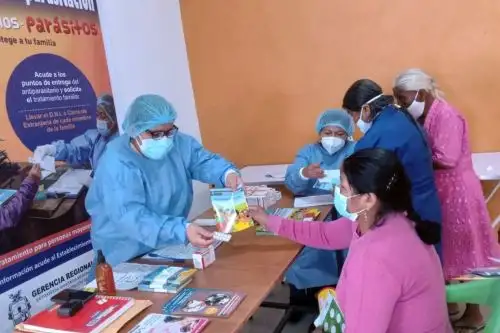 Geresa impulsa campaña masiva contra la parasitosis en Lambayeque. Foto: ANDINA/Difusión
