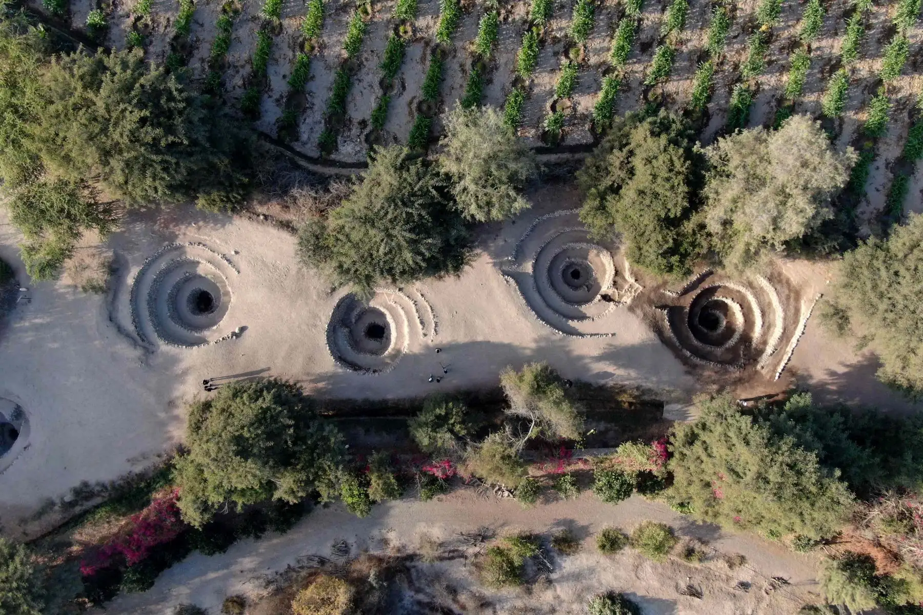 "El recurso hídrico ha sido usado de una forma brillante en una zona desértica, permitiendo el florecimiento de una cultura tan importante como la Nasca en condiciones que si no desarrollaban esta respuesta, no hubiera existido este desarrollo cultural". Foto: EFE