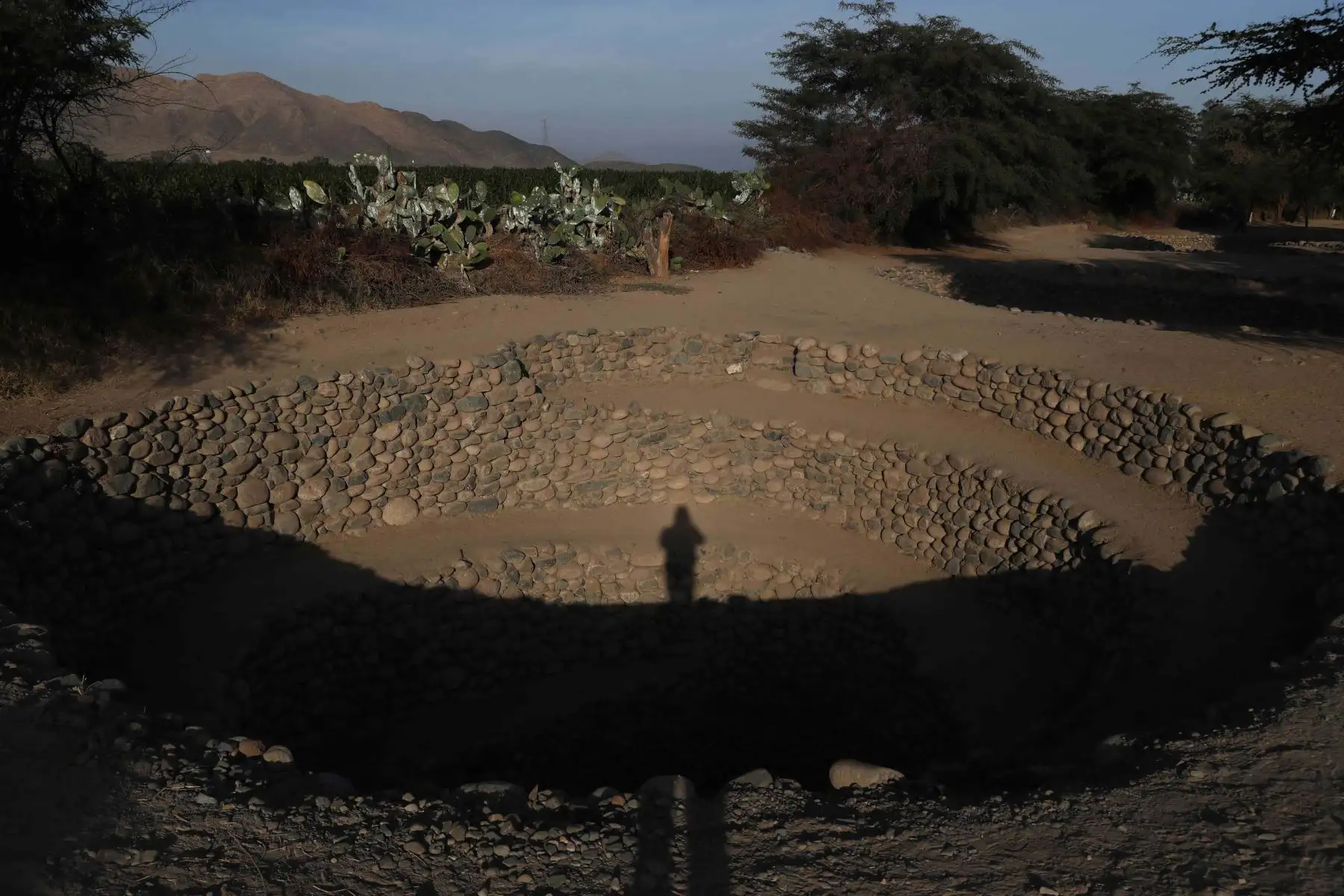"La sociedad nasca, era una cultura teocrática", agregó Yalli al indicar que era un pueblo que miraba mucho "hacia arriba", como muestran las líneas que elaboraron, cuyo origen y función también está vinculado con el culto a las divinidades. Foto: EFE