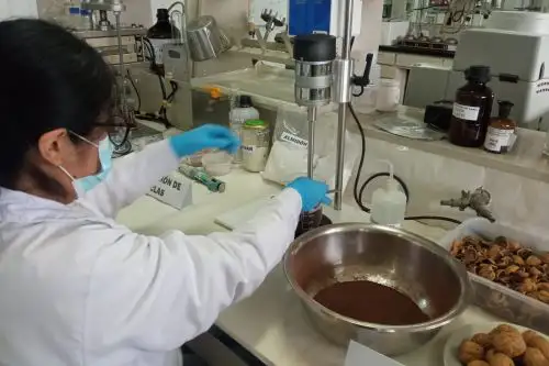 Crean prototipo de envases biodegradables con cáscaras de café y nuez amazónica.