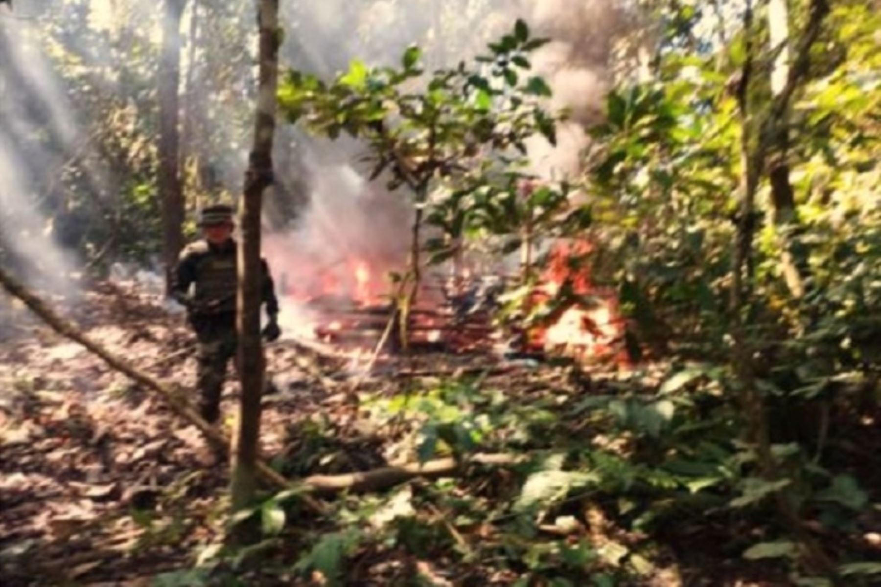 Los policía encontraron también 80 arrobas equivalente a 907.12 kilos de hojas de coca en proceso de maceración, decomisaron dos timbos color azul con 40 galones de combustible, otros insumos y  dos escopetas de fabricación artesanal.