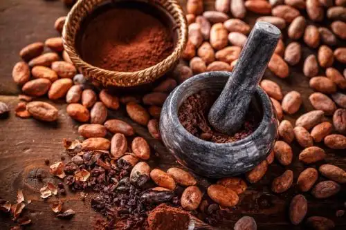Café y cacao.