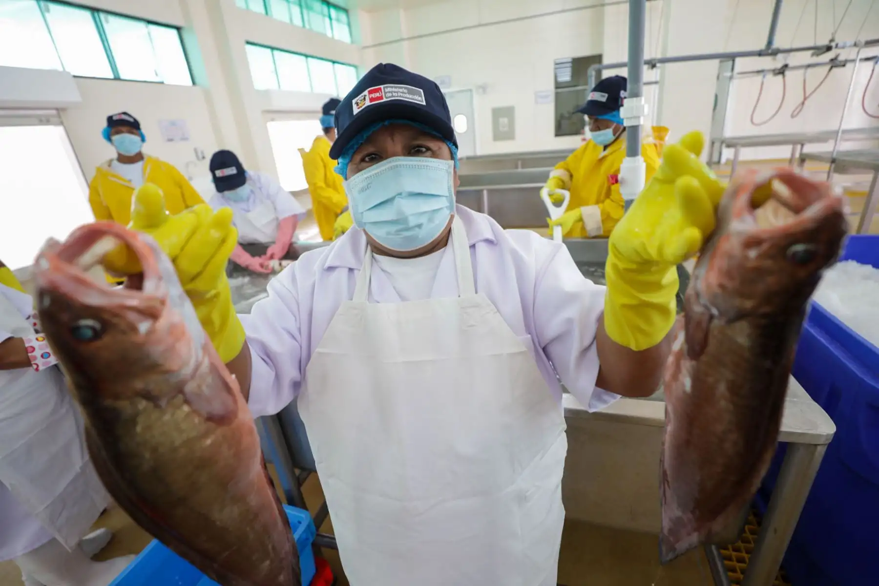 El Desembarcadero Pesquero Artesanal de Cancas, ubicado en el distrito de Canoas de Punta Sal, en la provincia de Contralmirante Villar en la región Tumbes, fue puesto al servicio de los pescadores artesanales de esta localidad.
Foto: Produce