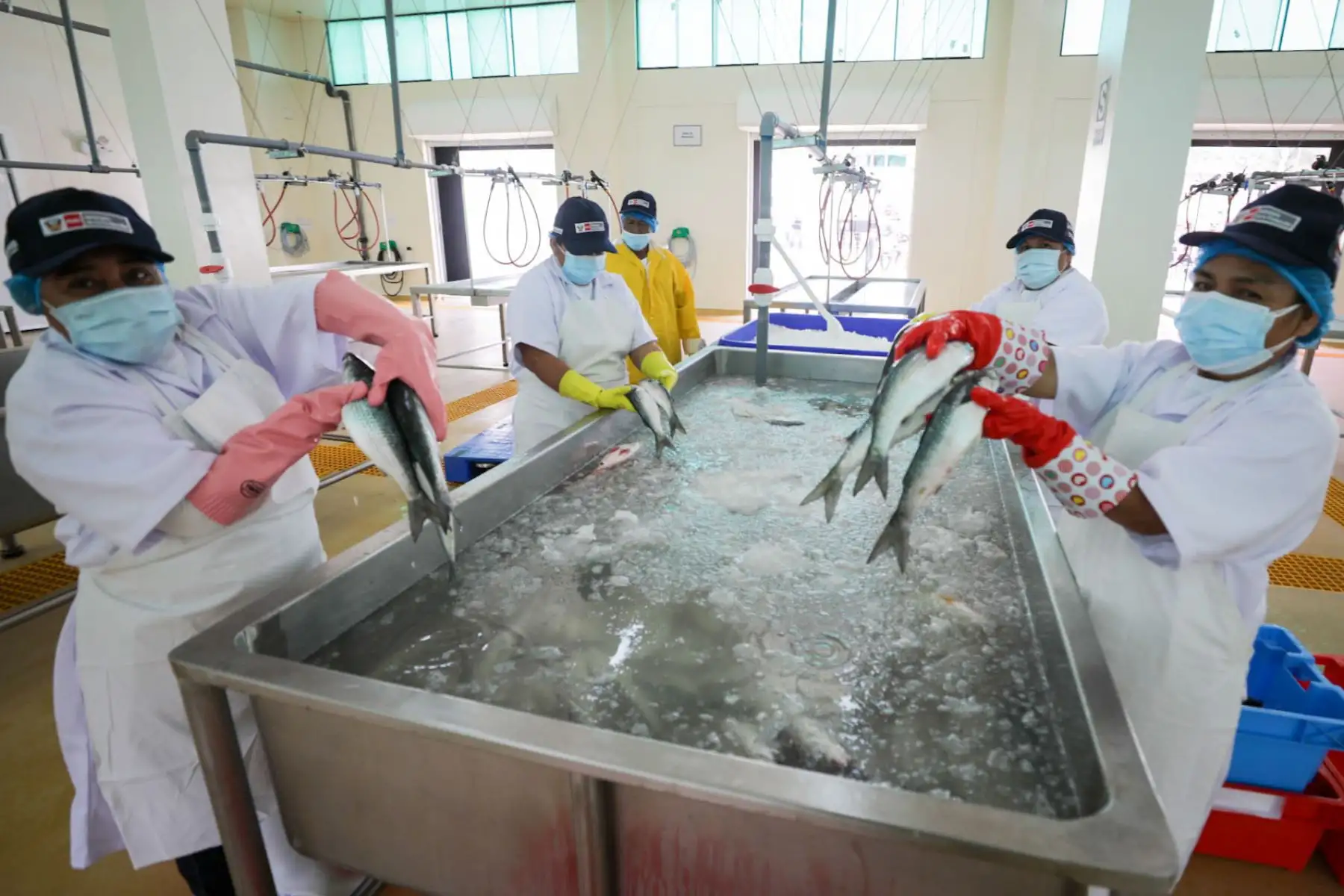 El Desembarcadero Pesquero Artesanal de Cancas, ubicado en el distrito de Canoas de Punta Sal, en la provincia de Contralmirante Villar en la región Tumbes, fue puesto al servicio de los pescadores artesanales de esta localidad.
Foto: Produce