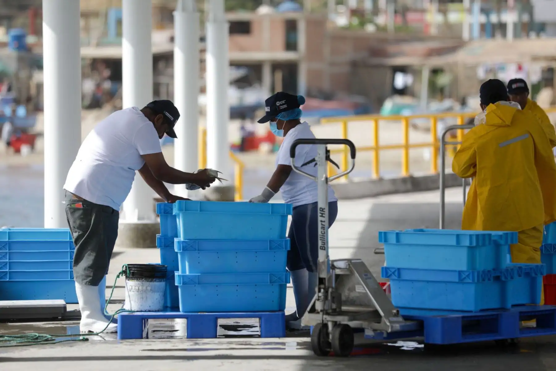 Entregan desembarcadero pesquero de Cancas en Tumbes que demandó una inversión de S/ 27 millones.
Foto: Produce