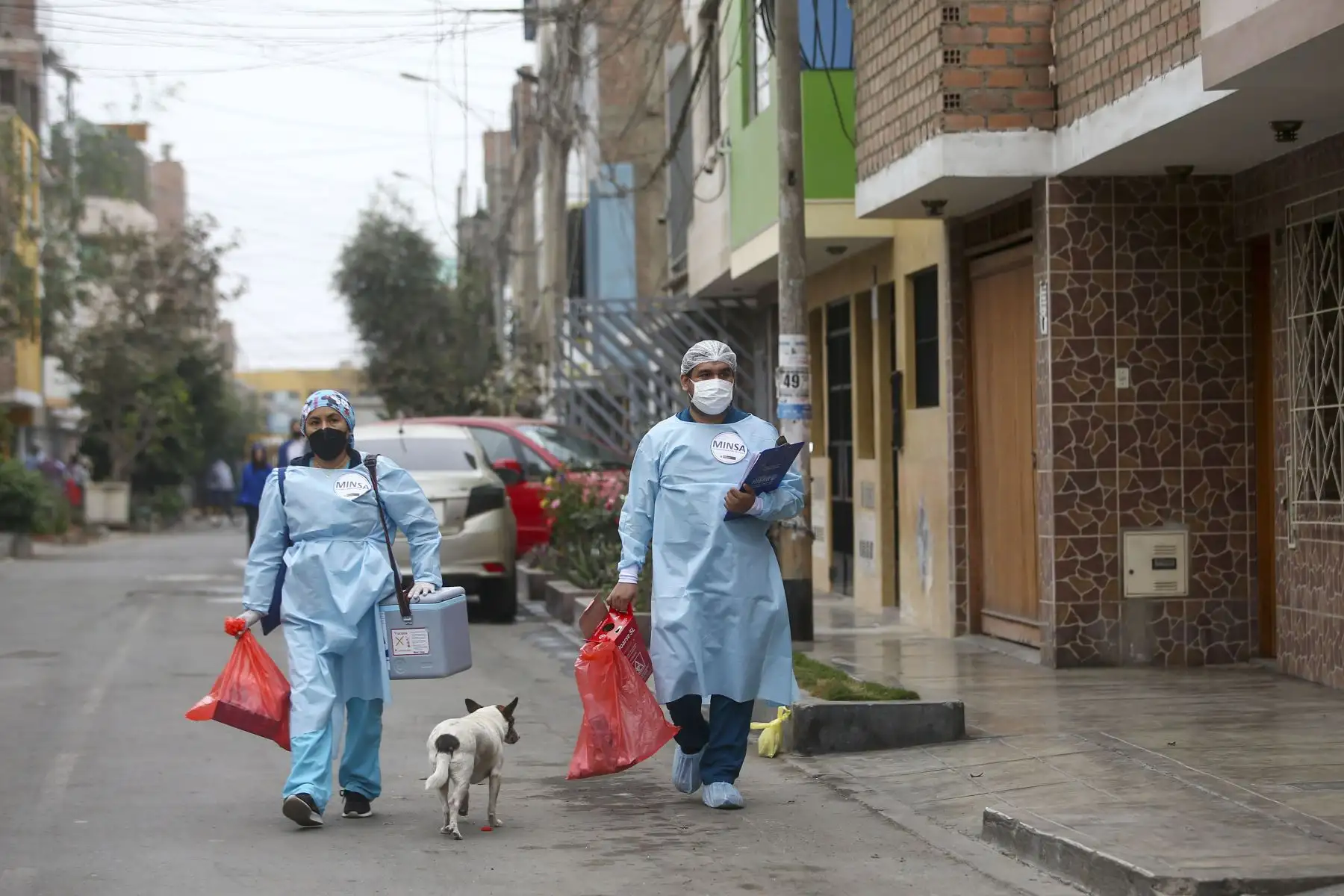 El proceso de vacunación contra el covid-19 no se detiene y continúa protegiendo a la población de Lima Norte. Brigadas del ministerio de Salud recorren la urbanización Virgen del Sol en Los Olivos vacunando la 3era y 4ta dosis contra la covid 19 y neumococo. 
Foto: ANDINA/Carla Patiño Ramírez