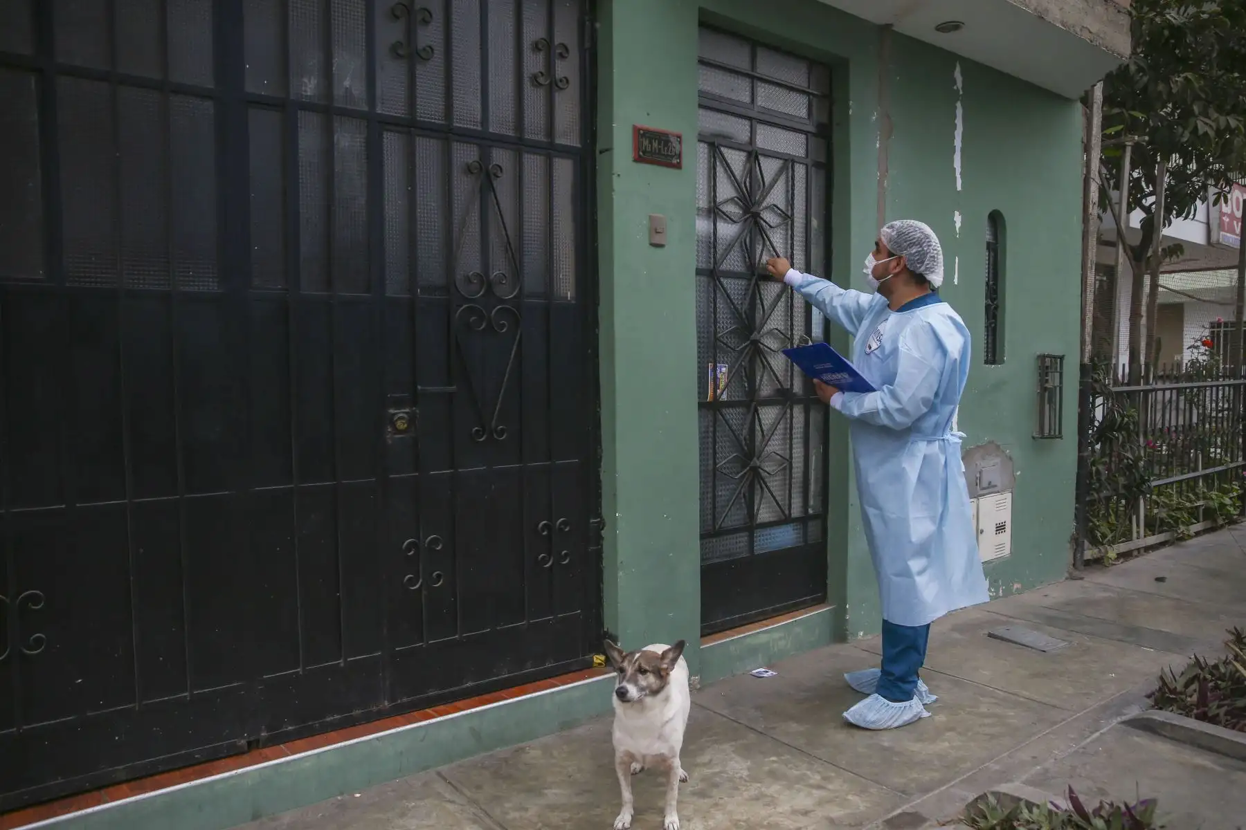 El proceso de vacunación contra el covid-19 no se detiene y continúa protegiendo a la población de Lima Norte. Brigadas del ministerio de Salud recorren la urbanización Virgen del Sol en Los Olivos vacunando la 3era y 4ta dosis contra la covid 19 y neumococo. 
Foto: ANDINA/Carla Patiño Ramírez