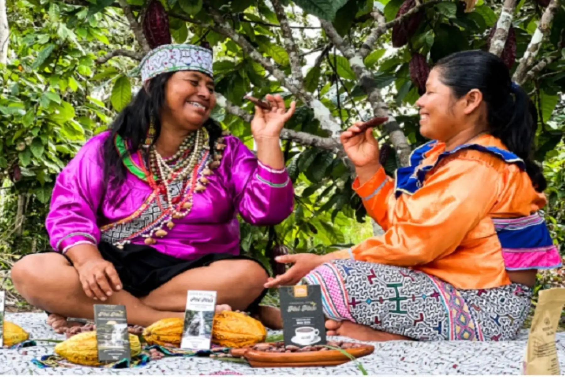Las comunidades awajún de Amazonas llegan al Salón del Cacao y Chocolate como protagonistas de una experiencia de realidad virtual sobre la cosecha del cacao.