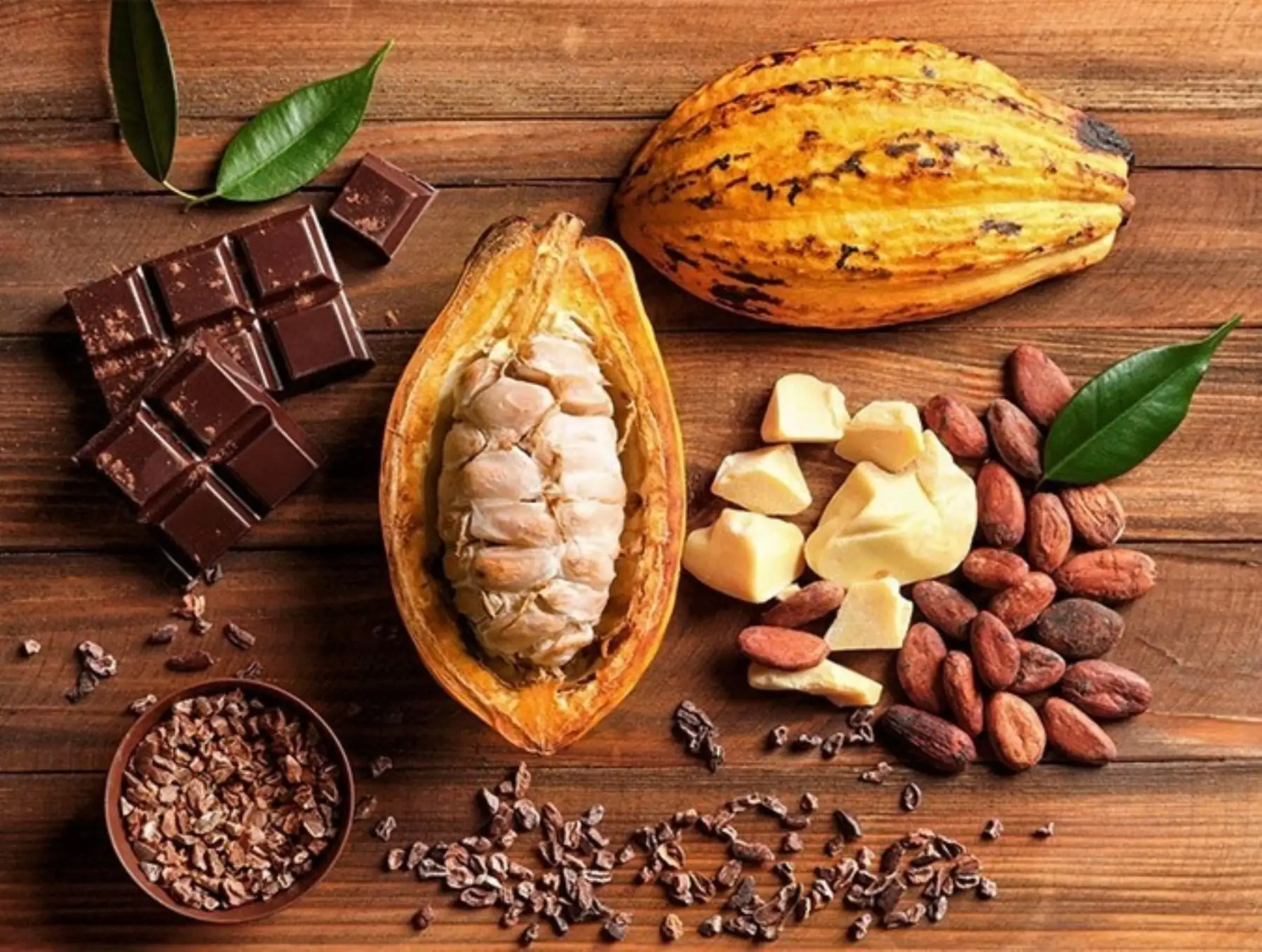 El cacao es uno de los principales productos de exportación de la selva peruana. ANDINA/Difusión