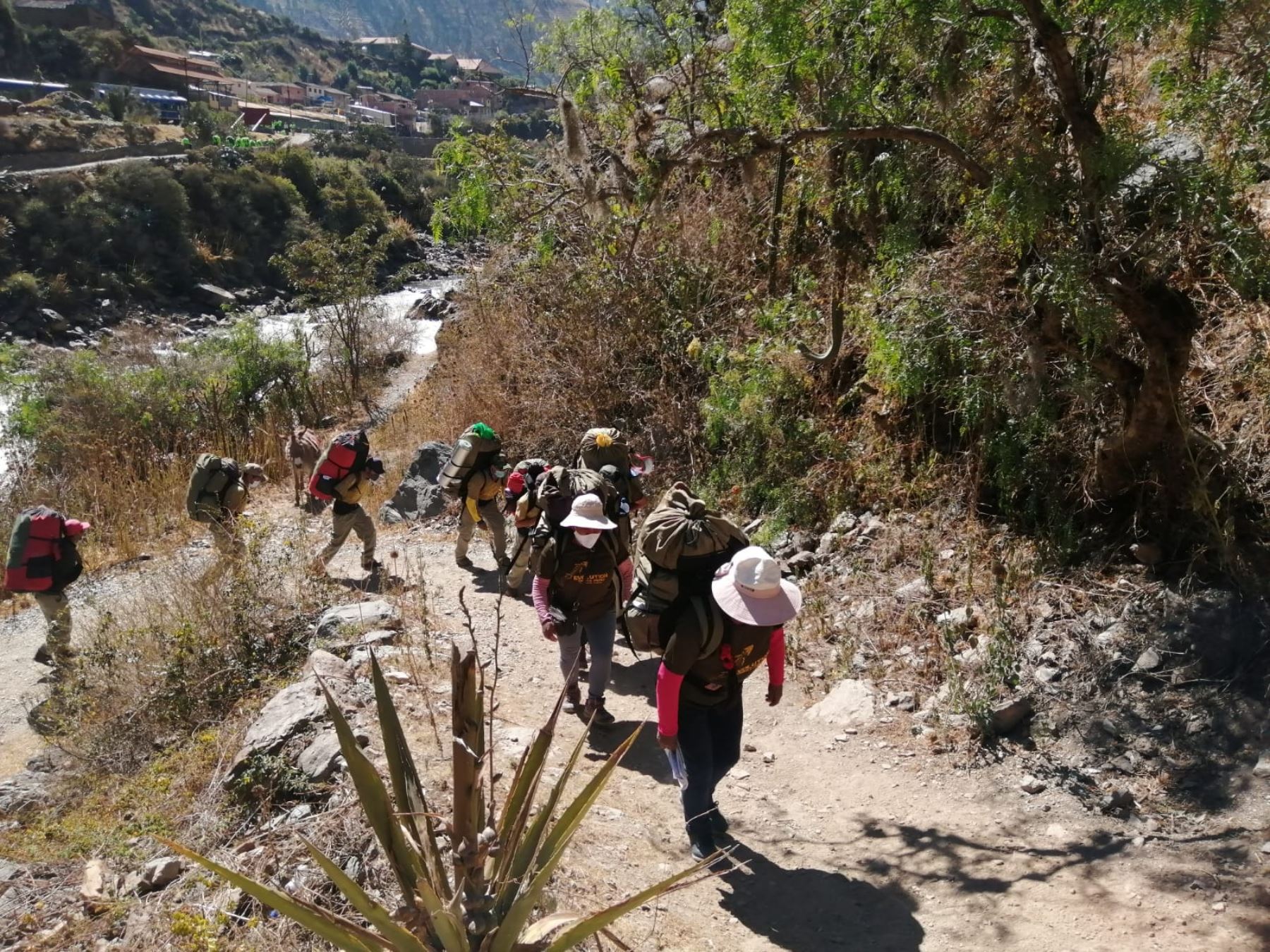 Autoridades de la Dirección de Cultura de Cusco restringieron el paso de turistas en un tramo del Camino Inca a Machu Picchu por la caída de rocas reportado en el sector de Meskay. ANDINA/Difusión