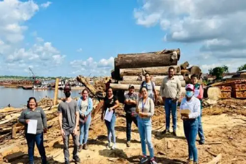 La nueva propuesta es presentada con la asistencia técnica de USAID Pro-Bosques y modifica el llenado del formato, con el objetivo de dar a conocer la trazabilidad de los productos forestales maderables de una manera más adecuada.