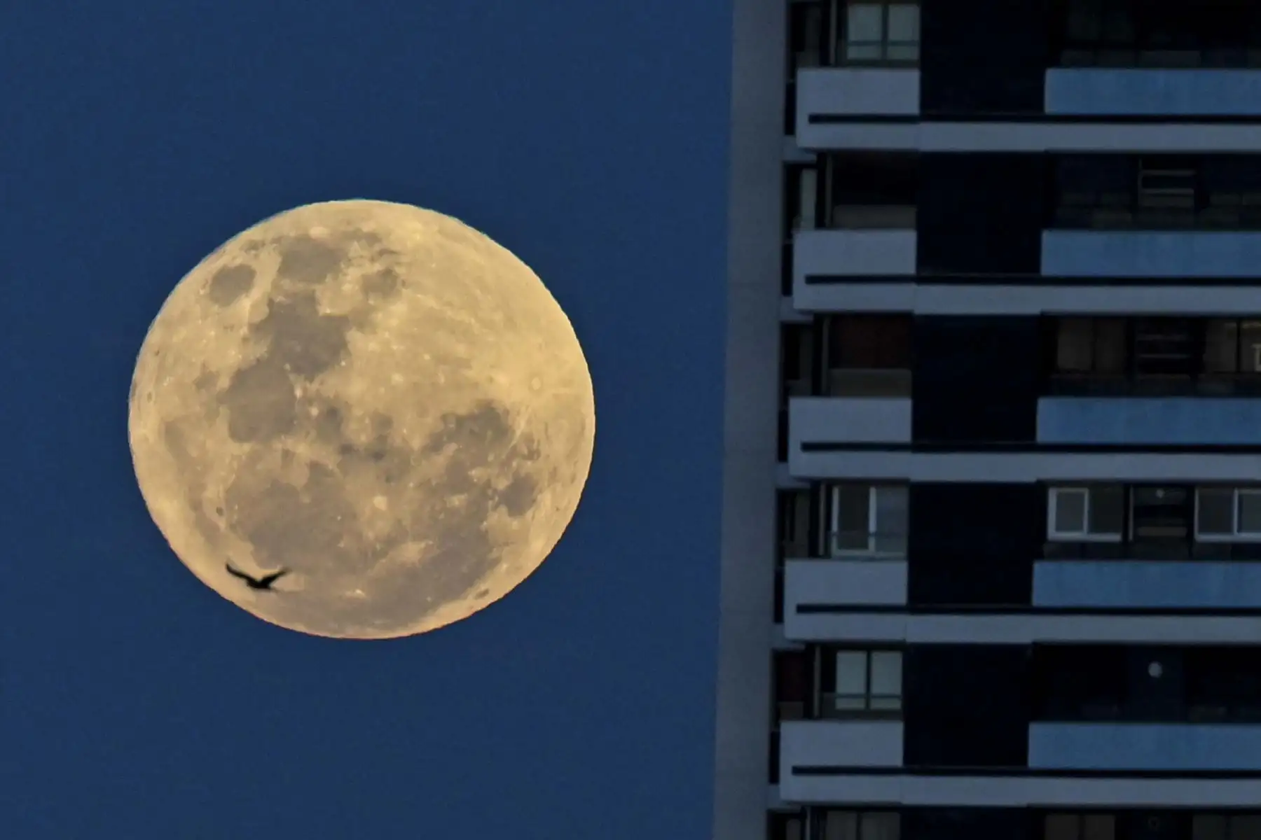 La luna llena se eleva sobre Buenos Aires. Foto: AFP