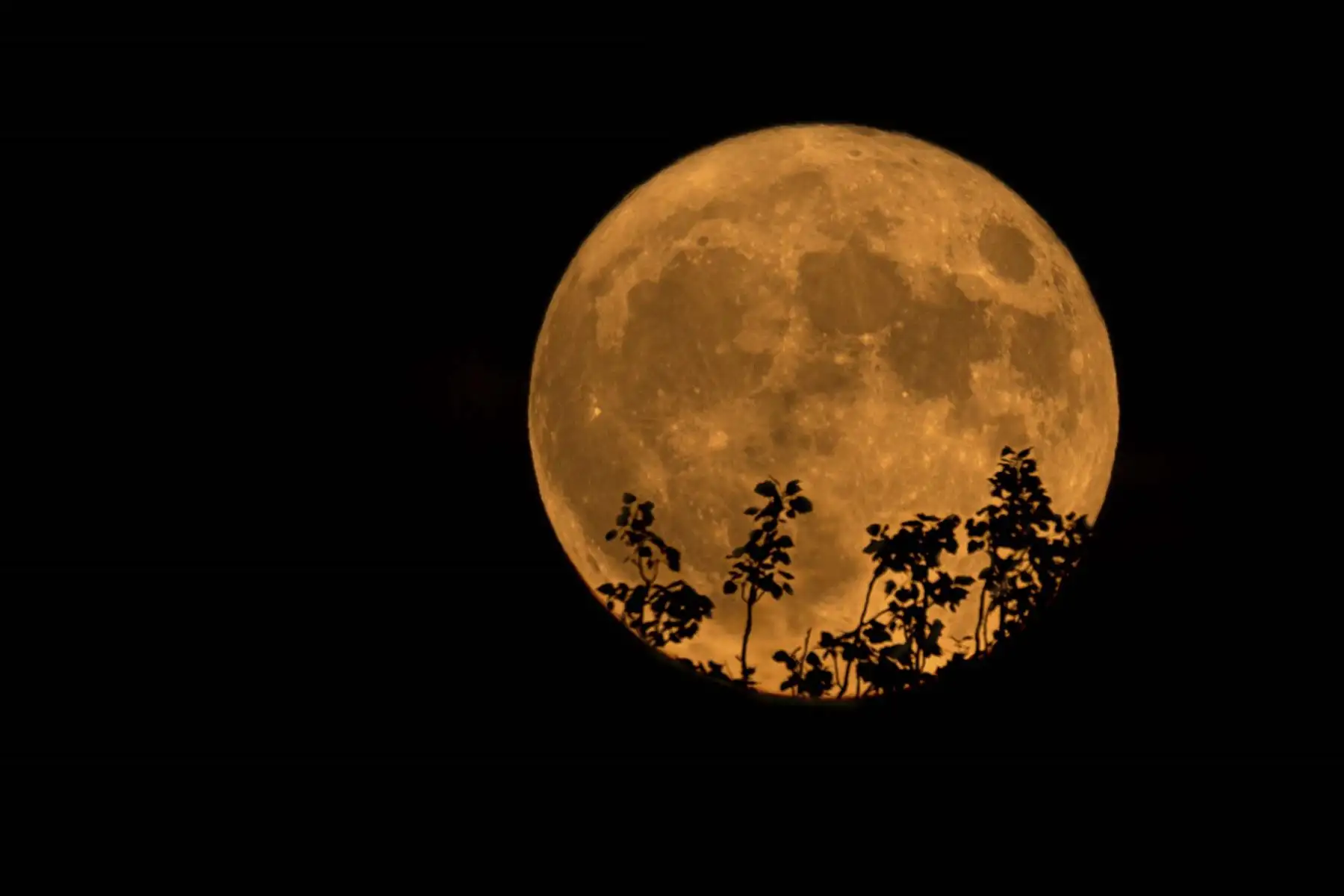 Superluna vista este jueves desde Logroño. La luna llena de julio llamada también "Superluna de ciervo", época en la que los ciervos machos desarrollan sus grandes cornamentas para la berrea y el apareamiento. Foto: EFE
