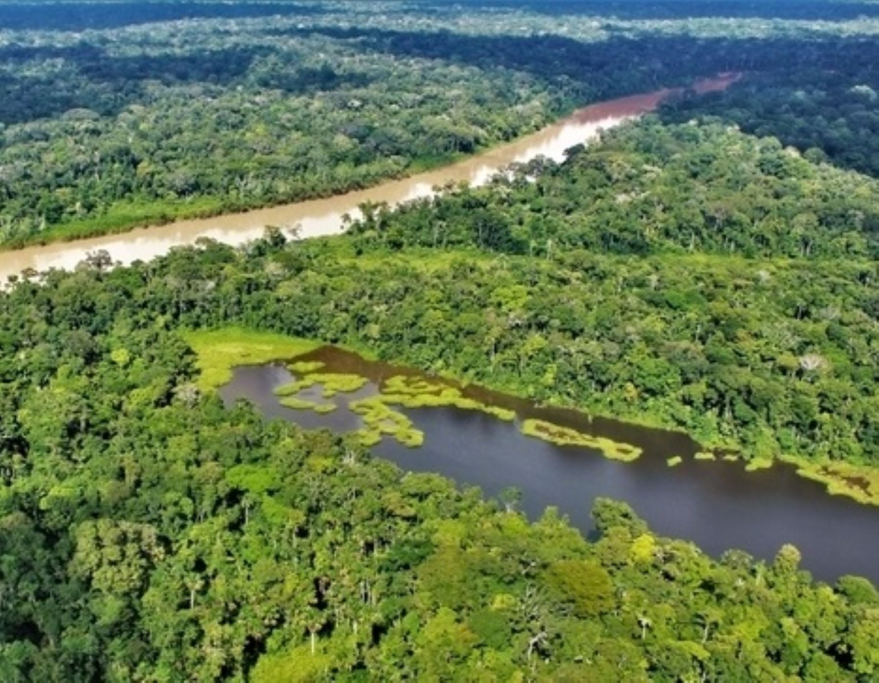 El Ministerio del Ambiente destacó los avances y resultados en las acciones de conservación de bosques en el Perú gracias a la acción del Programa Bosques. ANDINA/Difusión
