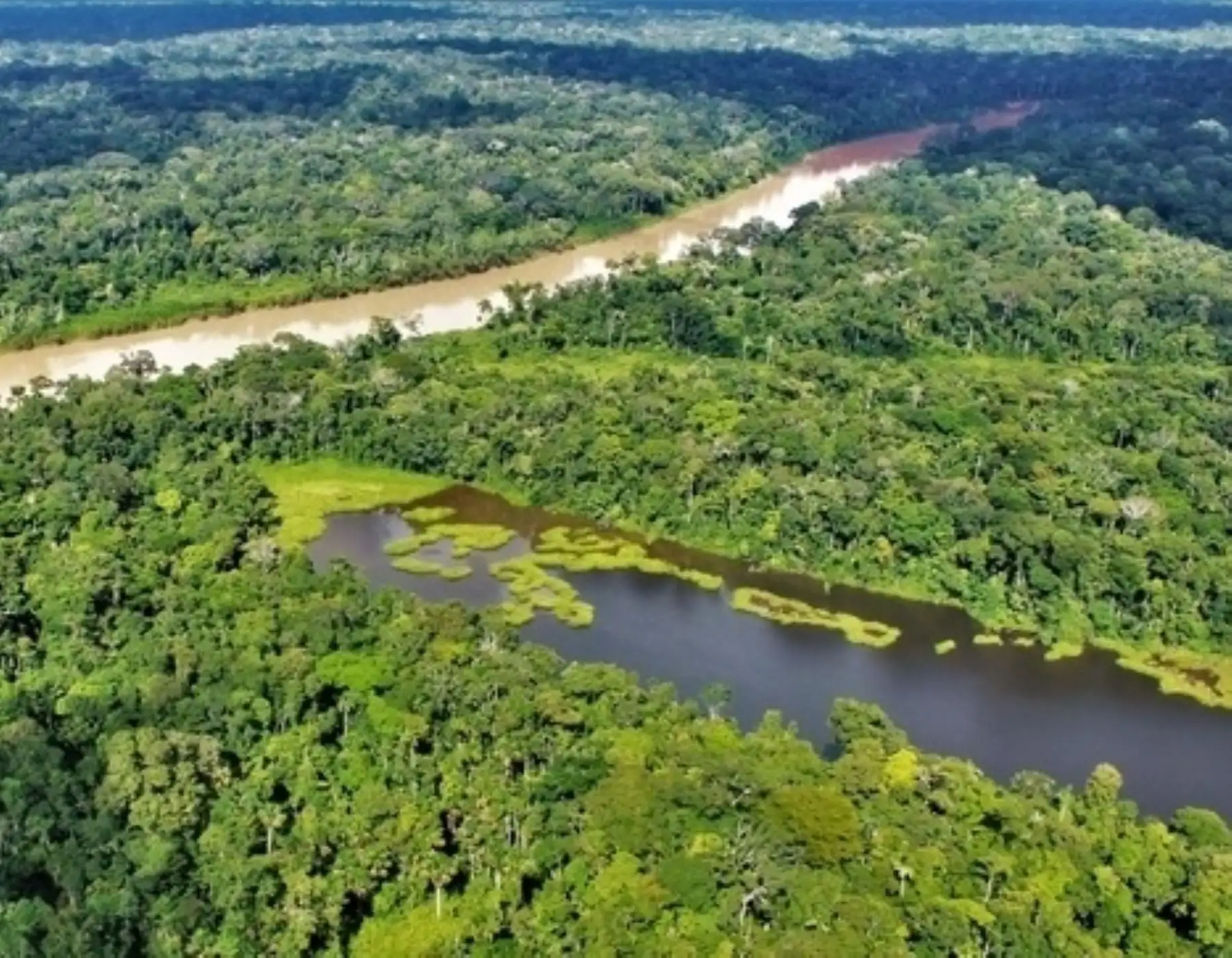 El Ministerio del Ambiente destacó los avances y resultados en las acciones de conservación de bosques en el Perú gracias a la acción del Programa Bosques. ANDINA/Difusión