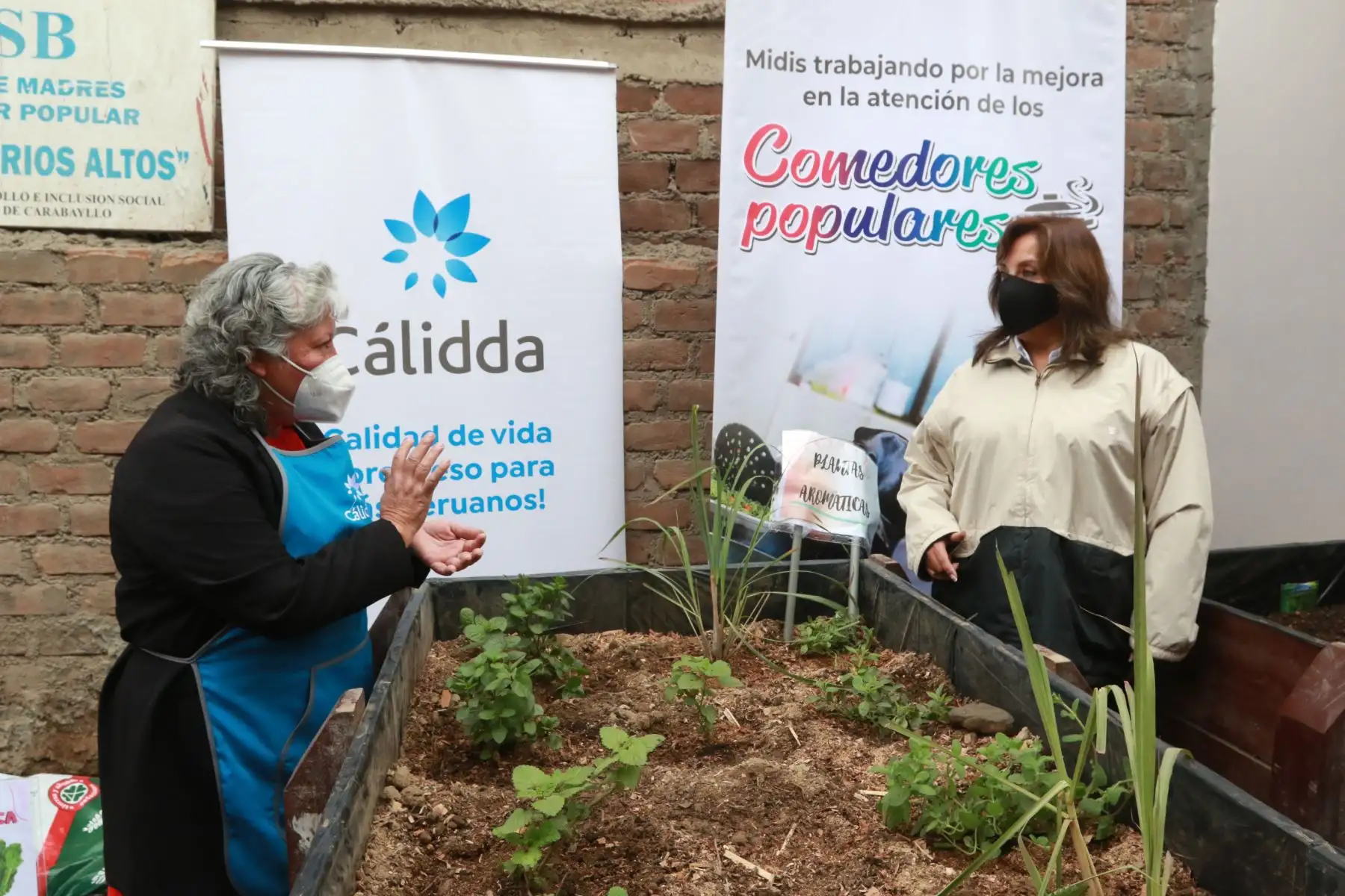 Vicepresidenta y Ministra de Desarrollo e Inclusion Social, Dina Boluarte, visita Comedor Popular de Carabayllo. Foto: ANDINA/Héctor Vinces