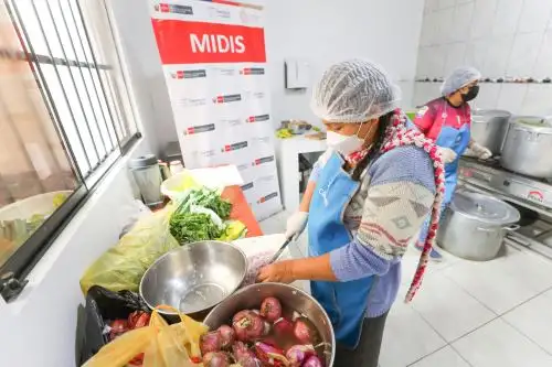 Foto: ANDINA/Andrés Valle.