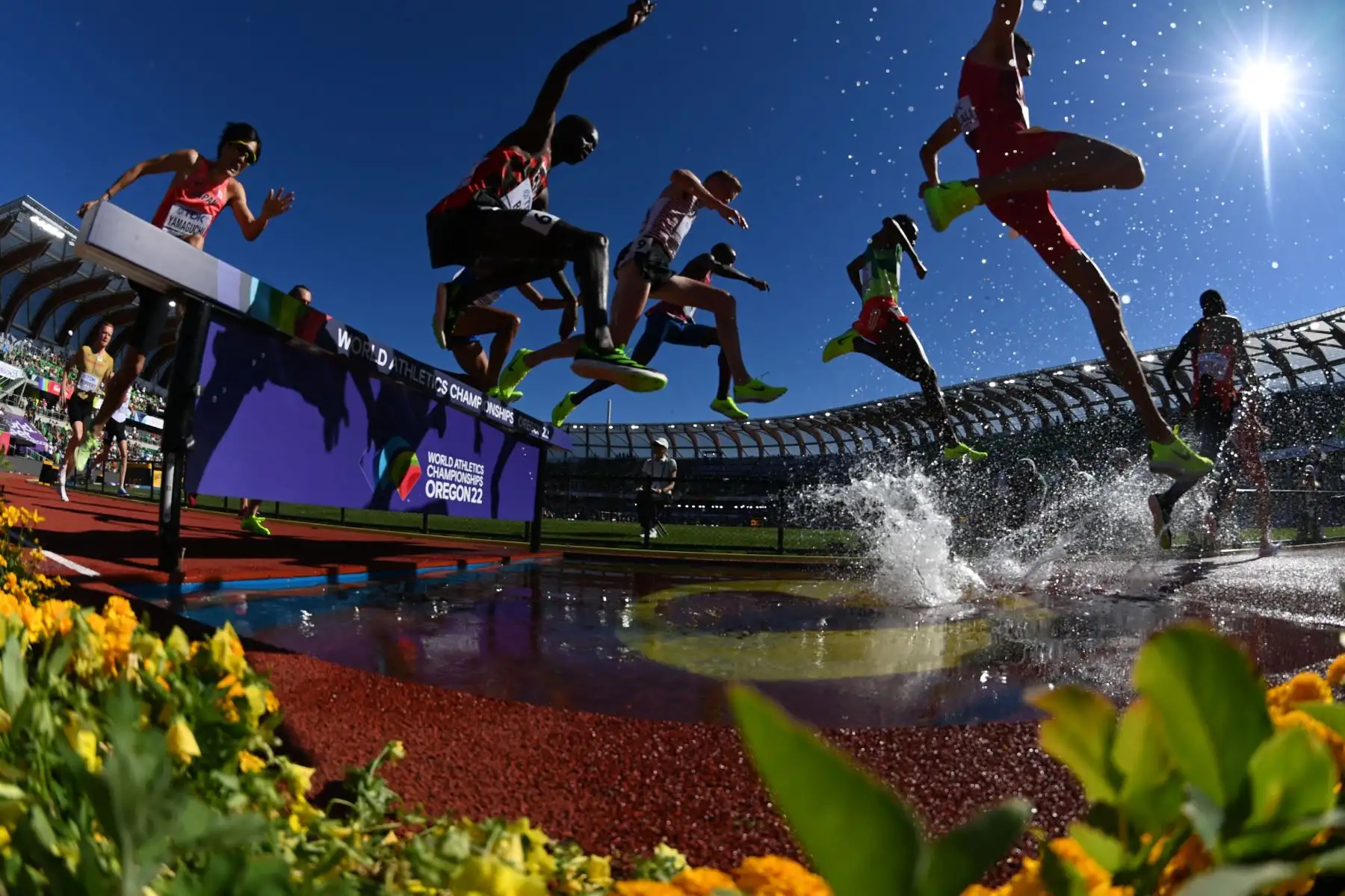 El japonés Kosei Yamaguchi compite en las eliminatorias de carrera de obstáculos de 3000 m para hombres durante el Campeonato Mundial de Atletismo en Hayward Field en Eugene, Oregón.
Foto: AFP