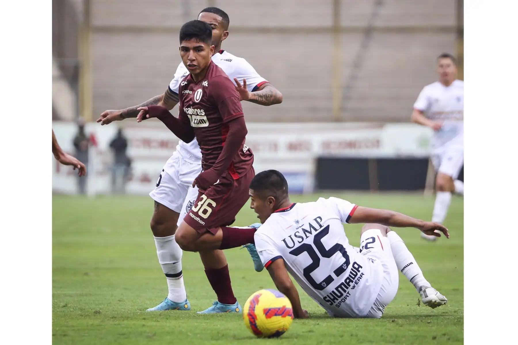 Universitario choca ante USMP por la segunda fecha de la Liga 1, en el Estadio Monumental. Foto: Club Universitario
