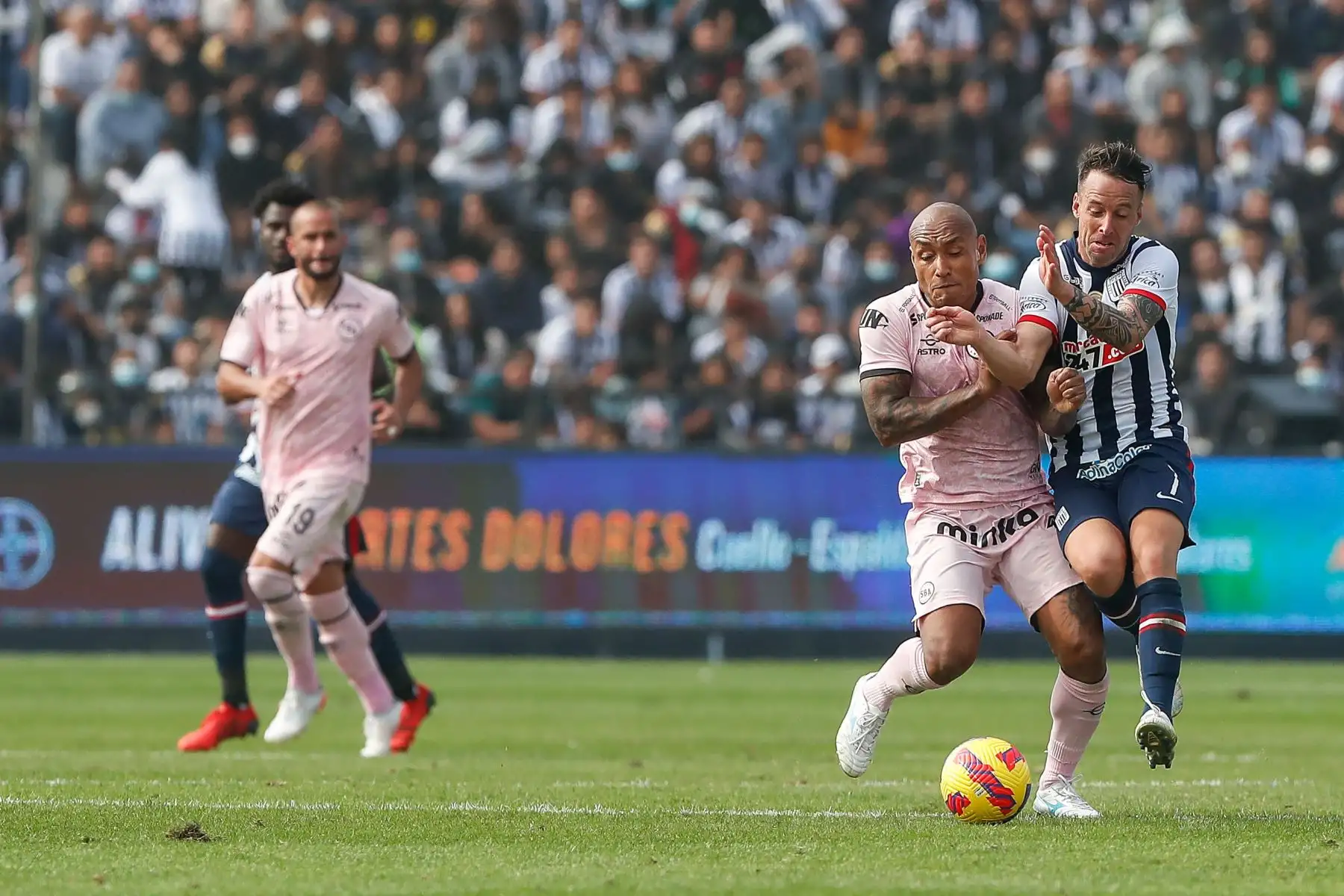 Pablo Lavandeira de Alianza Lima disputa el balón ante Sport Boys por la segunda fecha del Torneo Clausura Liga 1 en el Estadio Alejandro Villanueva.
 Foto: ANDINA Renato Pajuelo