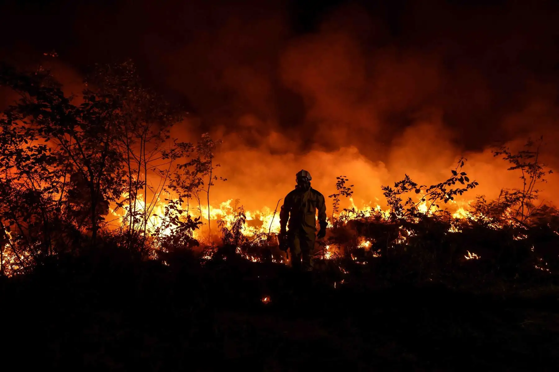 Bomberos intentan evitar que el incendio forestal se propague debido al cambio de viento, cerca de Louchats en Gironde, suroeste de Francia. Foto: AFP