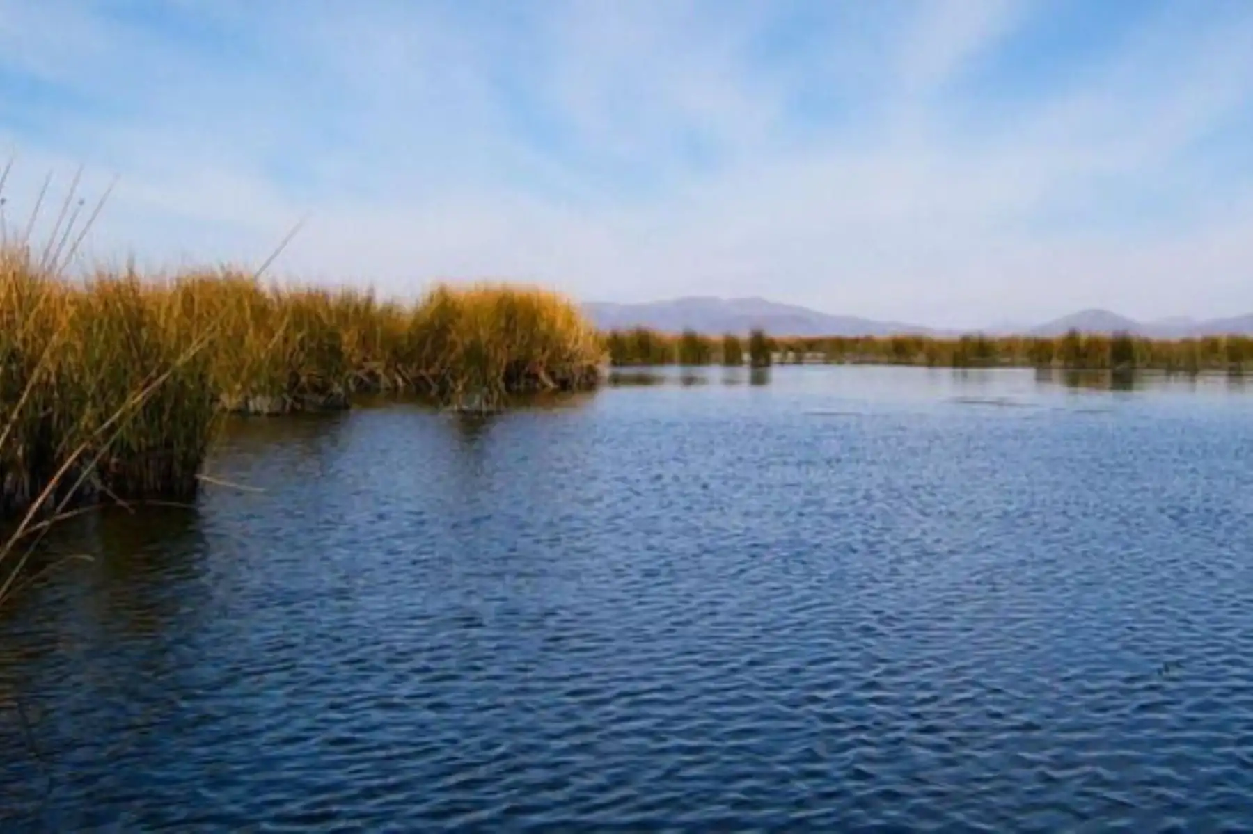 Lago Titicaca. Foto: ANDINA/difusión.
