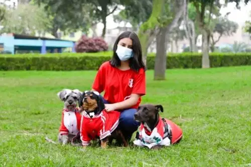 Fiestas Patrias: realizarán concurso canino de disfraces en club zonal Sinchi Roca. Foto: ANDINA/Difusión.