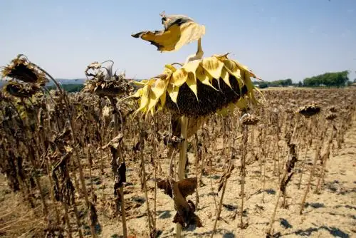 El objetivo es lograr acuerdos políticos que permitan una transición hacia una economía verde, inteligente y circular, con modelos de consumo y producción sostenibles. Foto: AFP.