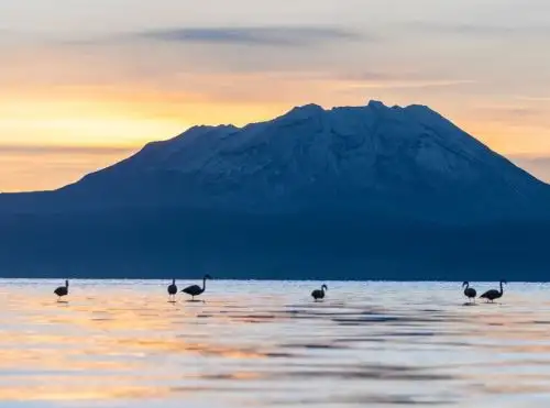 Instituciones públicas y privadas suscriben alianza para fortalecer la conservación de los recursos hídricos en la Reserva Nacional Salinas y Aguada Blanca, ubicada en Arequipa. ANDINA/Difusión