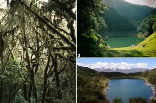 Conocido como la “Isla biológica de los Andes”, el Santuario Nacional Ampay celebrará este 23 de julio su 35 aniversario de creación como área protegida por el Estado. Foto: Sernanp