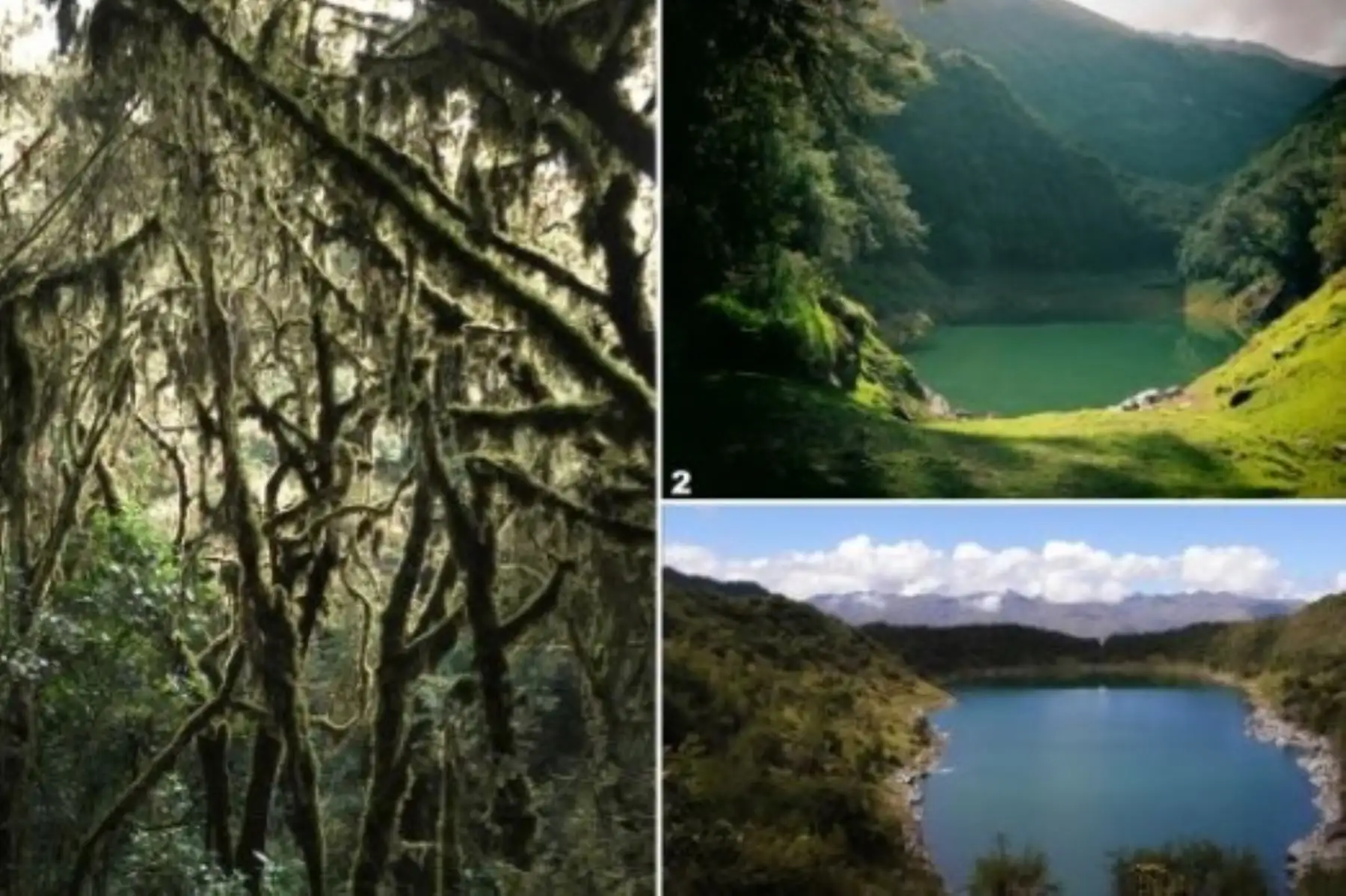 Conocido como la “Isla biológica de los Andes”, el Santuario Nacional Ampay celebrará este 23 de julio su 35 aniversario de creación como área protegida por el Estado. Foto: Sernanp