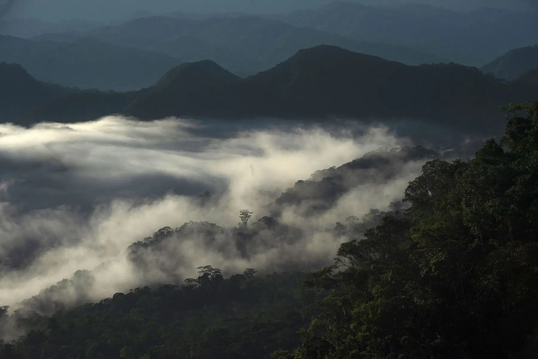 Vista general de la reserva natural de las montañas Cordillera Escalera en Tarapoto, noreste de Perú. Especies únicas de ranas endémicas de belleza cautivadora, mamíferos y aves se encuentran entre las principales atracciones turísticas del área de conservación de la Sierra Escalera, zona natural protegida entre los Andes y la selva del oriente peruano. Foto: AFP