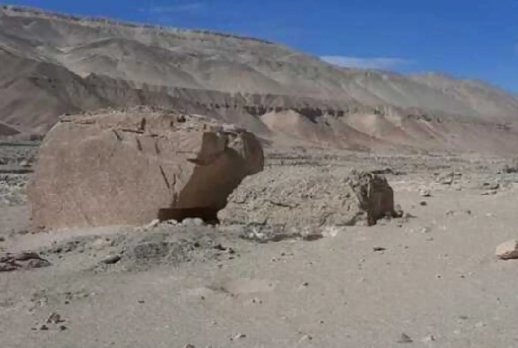 Arequipa: paisaje arqueológico El Cubo, en Castilla, recibirá protección del Mincul