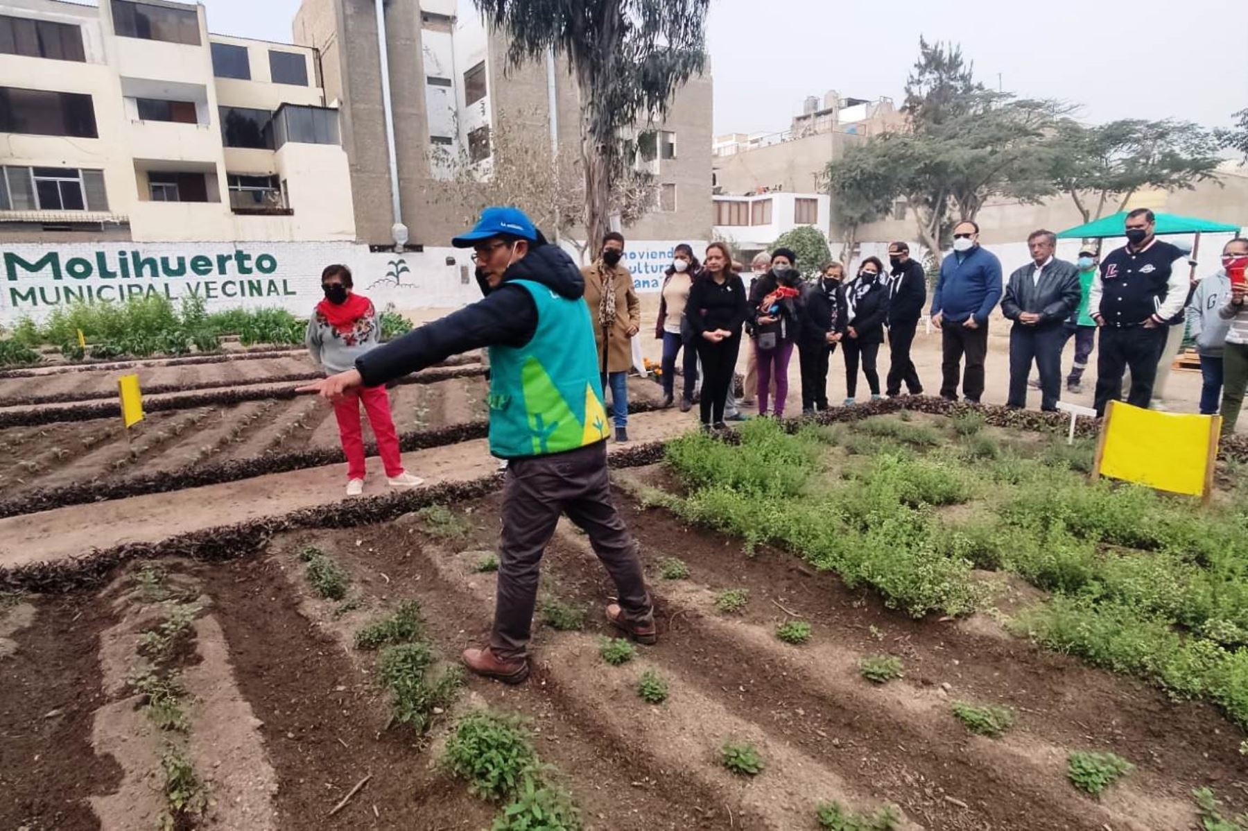 La Molina: vecinos aplican agricultura urbana ante eventual crisis alimentaria. Foto: ANDINA/Difusión.