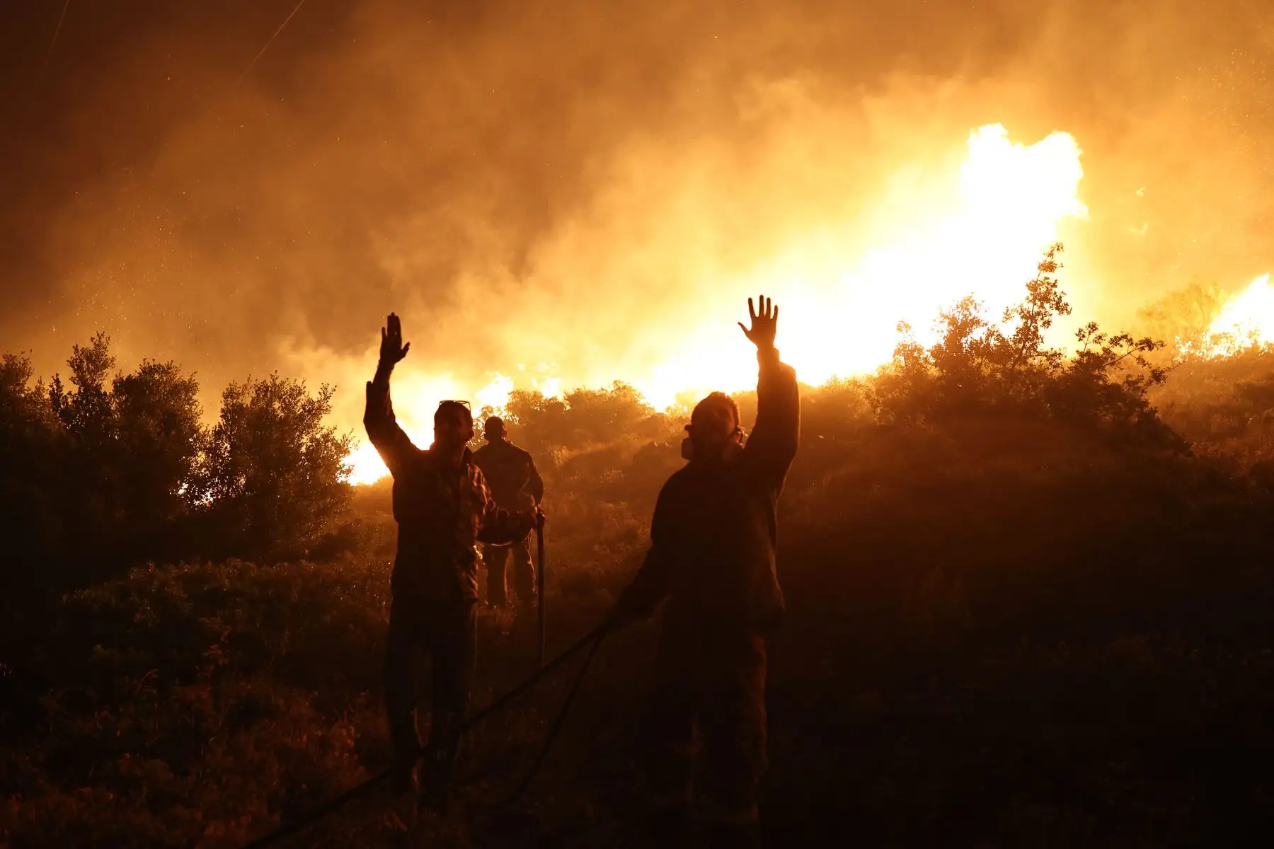 Los bomberos hacen un gesto mientras trabajan para extinguir un incendio forestal en la aglomeración de Drafi, al norte de Atenas.
Foto: AFP