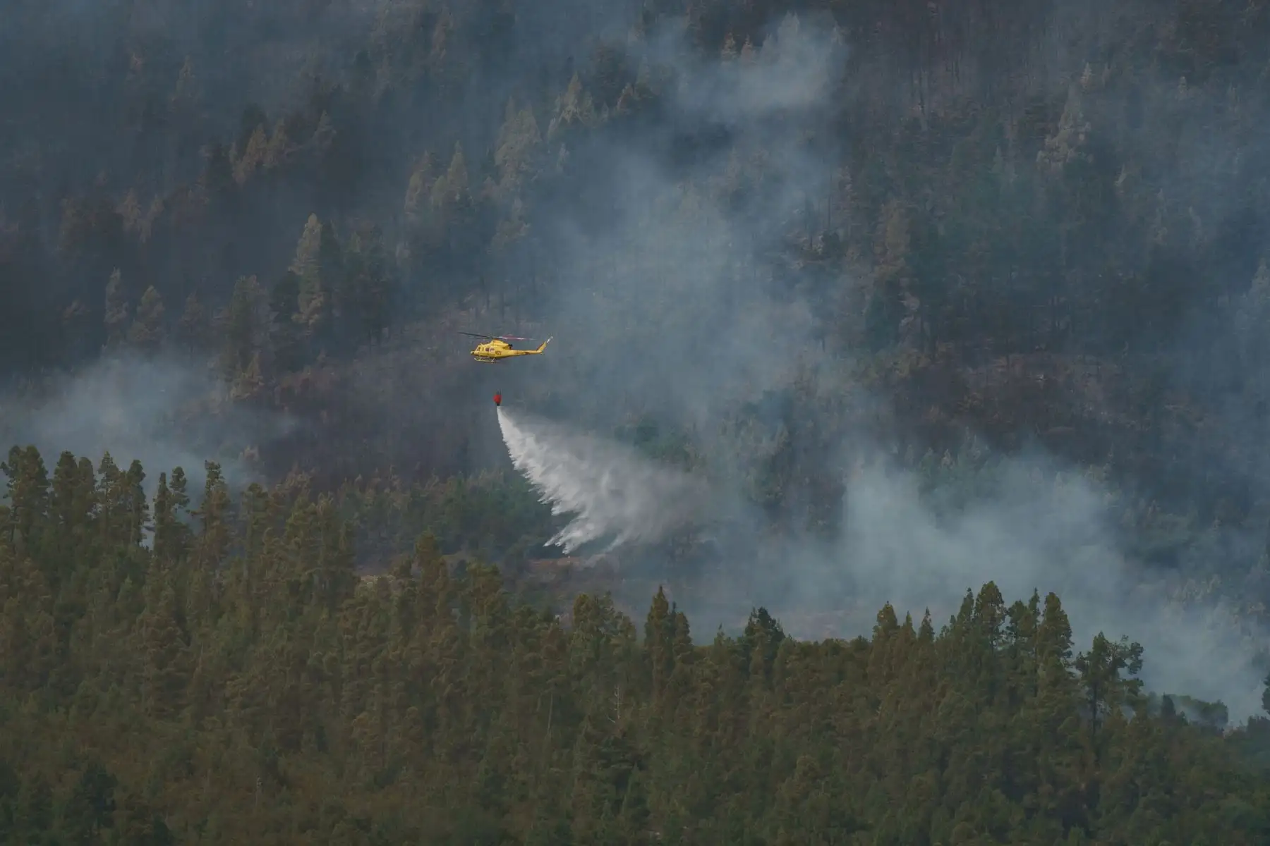 Helicópteros contra incendios actúan en los montes cercanos a Las Llanadas, en Los Realejos, municipio en el que el jueves comenzó un fuego que se mantiene activo. 
Foto: EFE