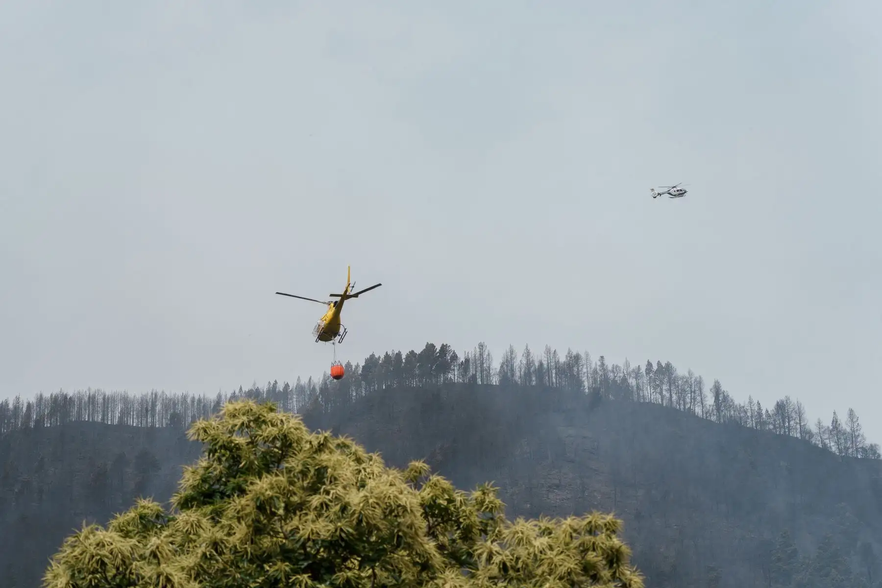 Helicópteros contra incendios actúan este domingo en los montes cercanos a Las Llanadas, en Los Realejos, municipio en el que el jueves comenzó un fuego que se mantiene activo. Foto: EFE