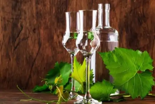 Foto: ANDINA/difusión.