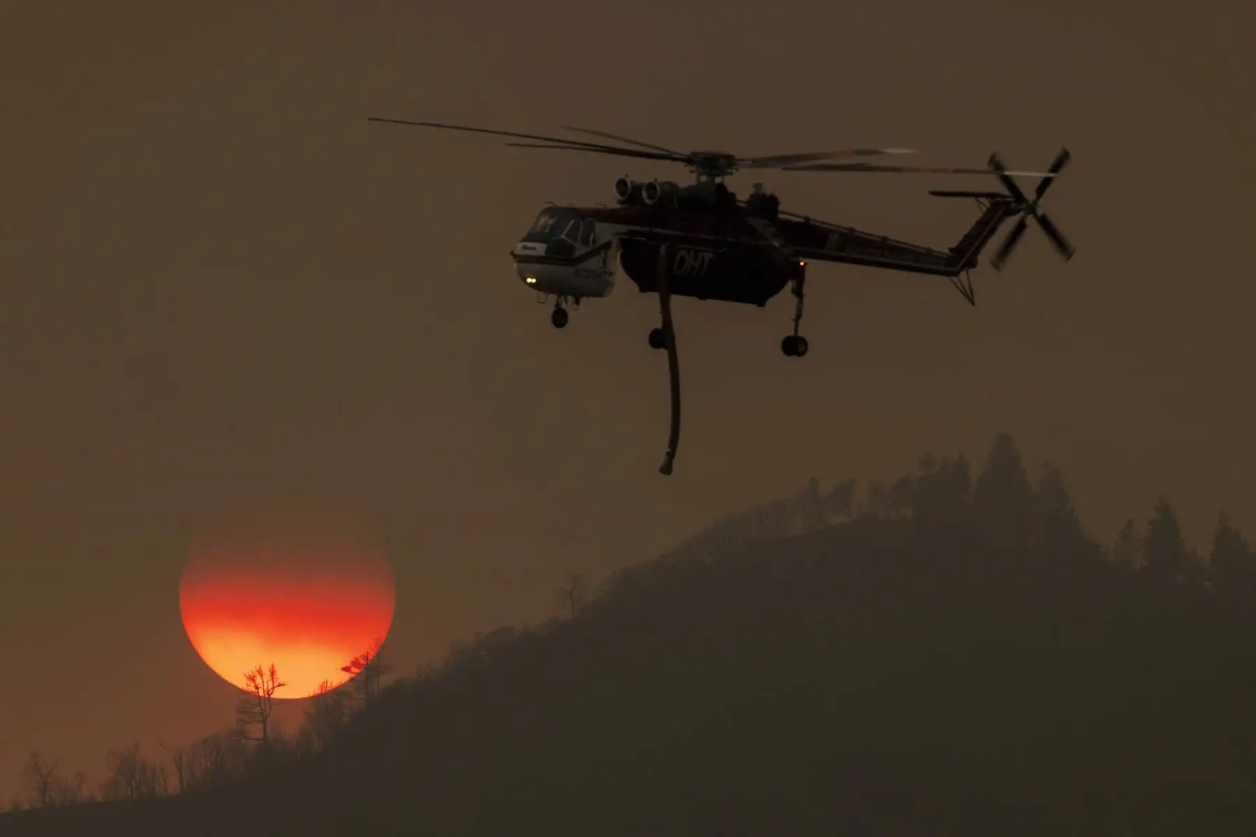 El feroz incendio forestal de California se expandió la madrugada del domingo quemando varios miles de acres y forzando evacuaciones, mientras decenas de millones de estadounidenses se sofocaban a través del calor abrasador con temperaturas récord. Foto: AFP