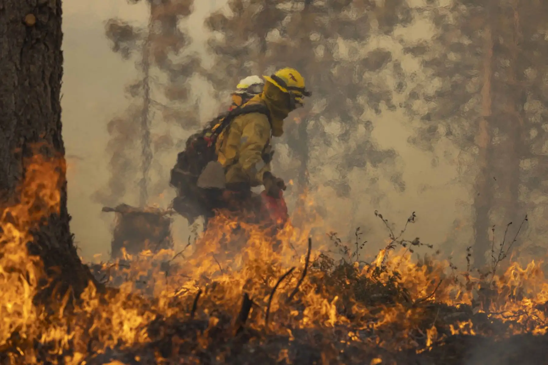 Un bombero lucha contra el incendio de Oak cerca de California. Foto: AFP