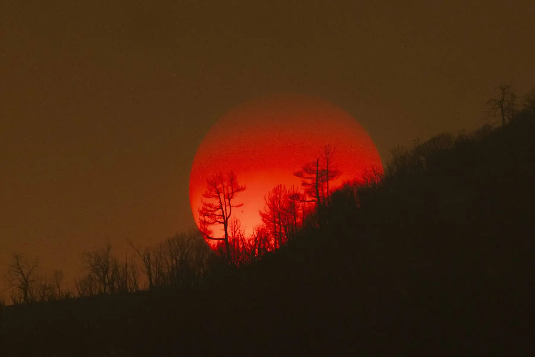 El sol se esconde detrás de un cielo lleno de humo y un bosque quemado en Oak Fire, California. Foto: AFP